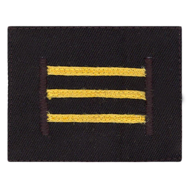 Navy ROTC Sleeve Device: Senior