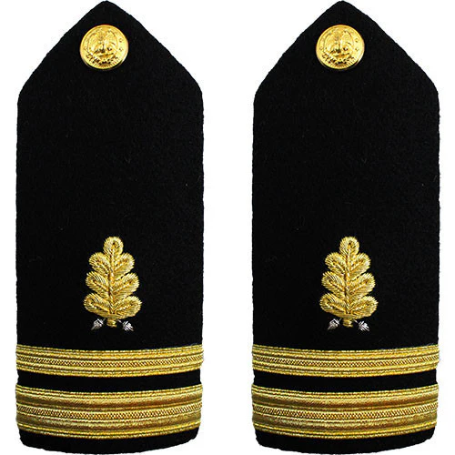 Navy Shoulder Board: Lieutenant Junior Grade Dental Corps - male
