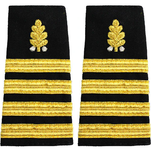 Navy Soft Shoulder Mark: Captain Dental Corps