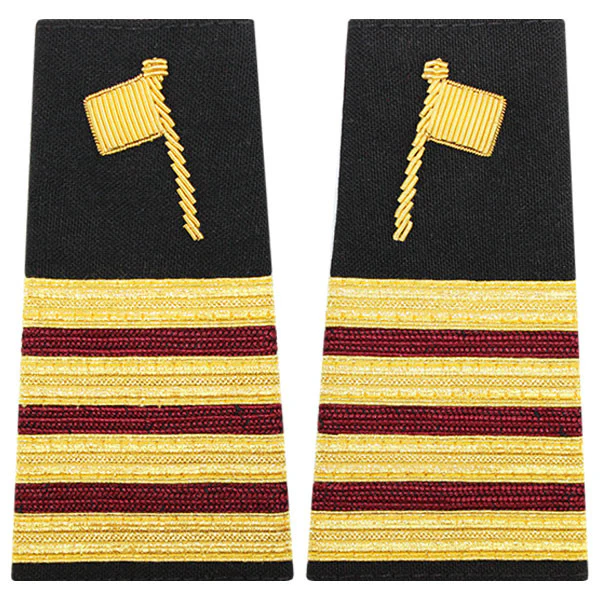Public Health Service PHS Quarantine Hard Shoulder Board: GS-13