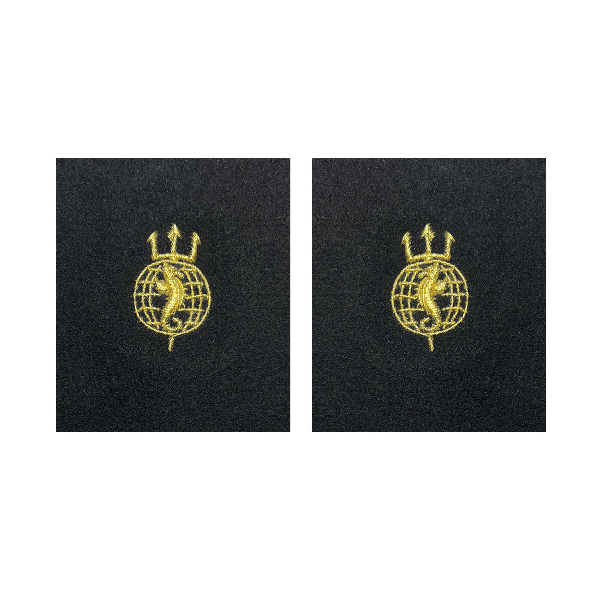 Navy Sleeve Device: Acoustic Technician