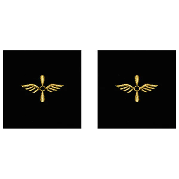 Navy Sleeve Device: Aviation Machinist