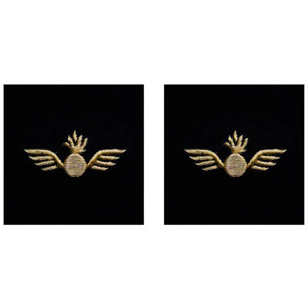 Navy Sleeve Device: Aviation Ordnance