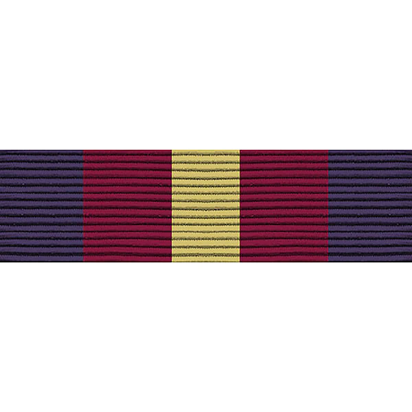 Ribbon Unit #4030/NS: Young Marines Honor Recruit