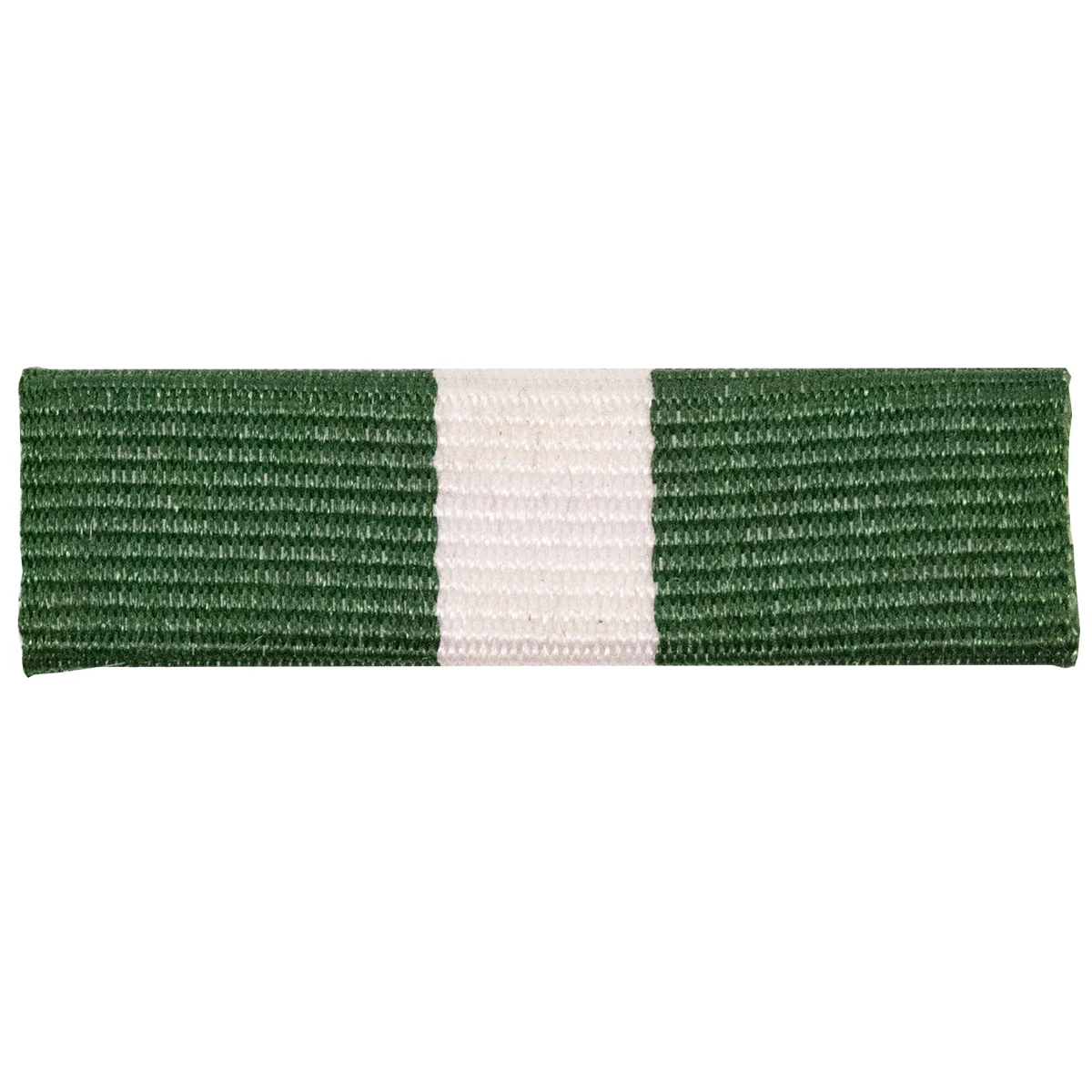 Ribbon Unit #4041: Young Marines Swimming