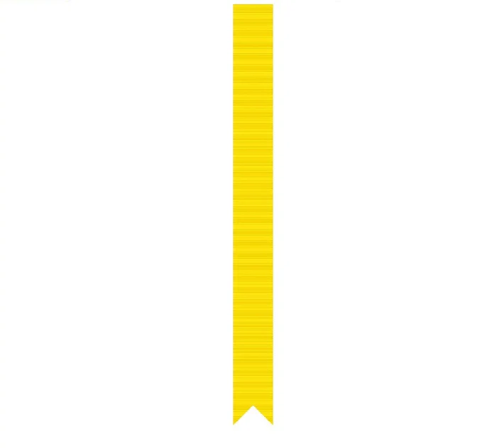 John J. Bergen Trophy; Sea Cadet Streamer