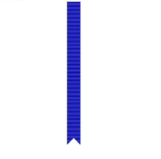 Morgan L. Fitch Trophy; Sea Cadet Streamer