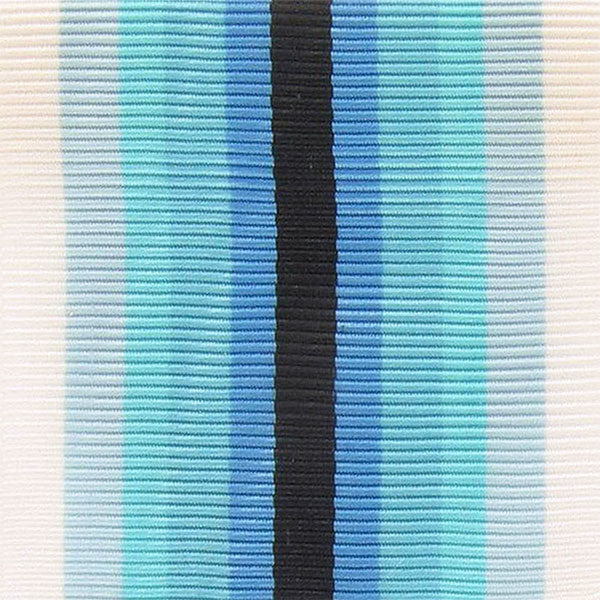 Coast Guard Arctic Service Ribbon Yardage