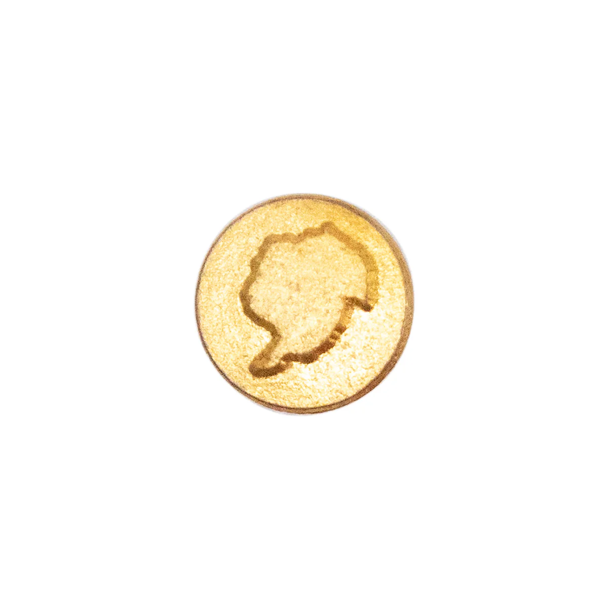 Ribbon Attachments: Antarctica - gold