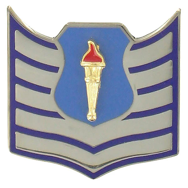 Air Force JROTC Chevron: Technical Sergeant