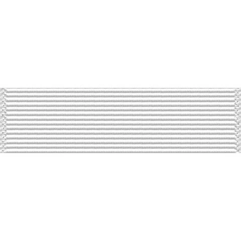 Ribbon Unit #3001