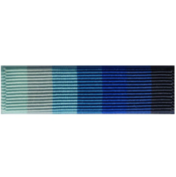 Ribbon Unit: Air Force JROTC  Outstanding Organization Award