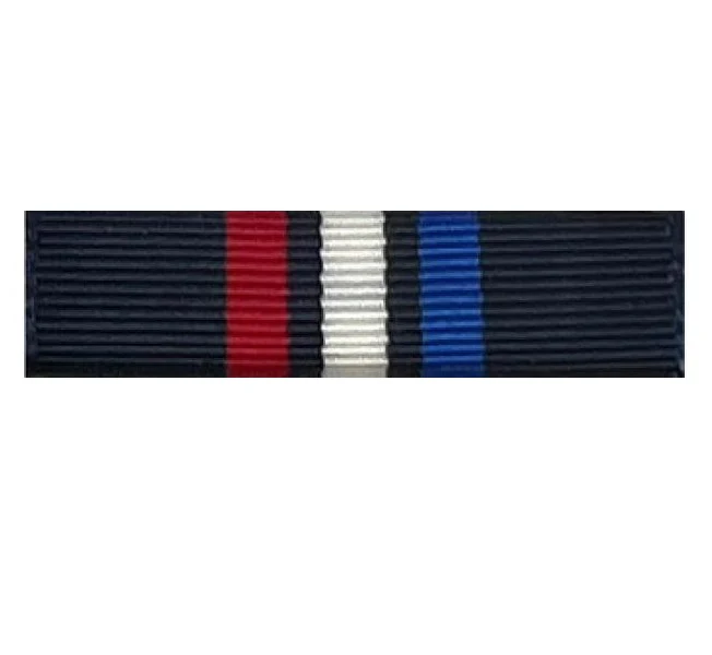 Air Force JROTC Ribbon Unit: Cyber Patriot