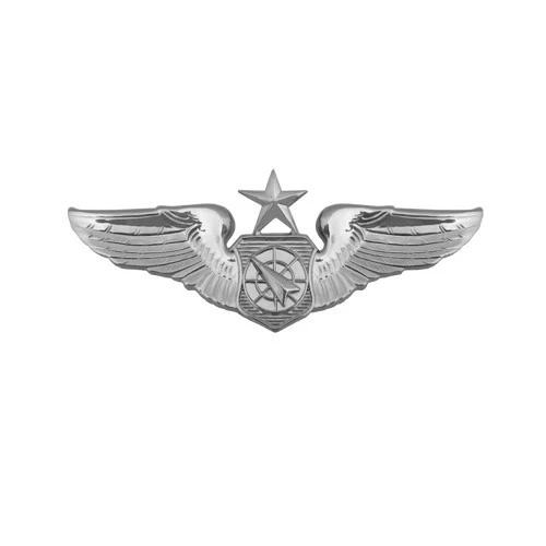 Air Force Badge: Air Battle Manager: Senior - miniature