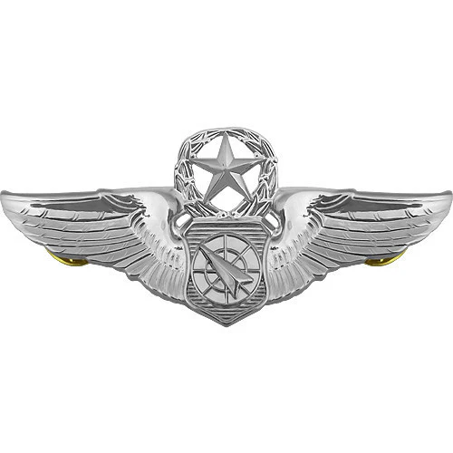 Air Force Badge: Air Battle Manager: Master - regulation size