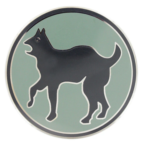Army Combat Service Identification Badge (CSIB):  81st Regional Support Command