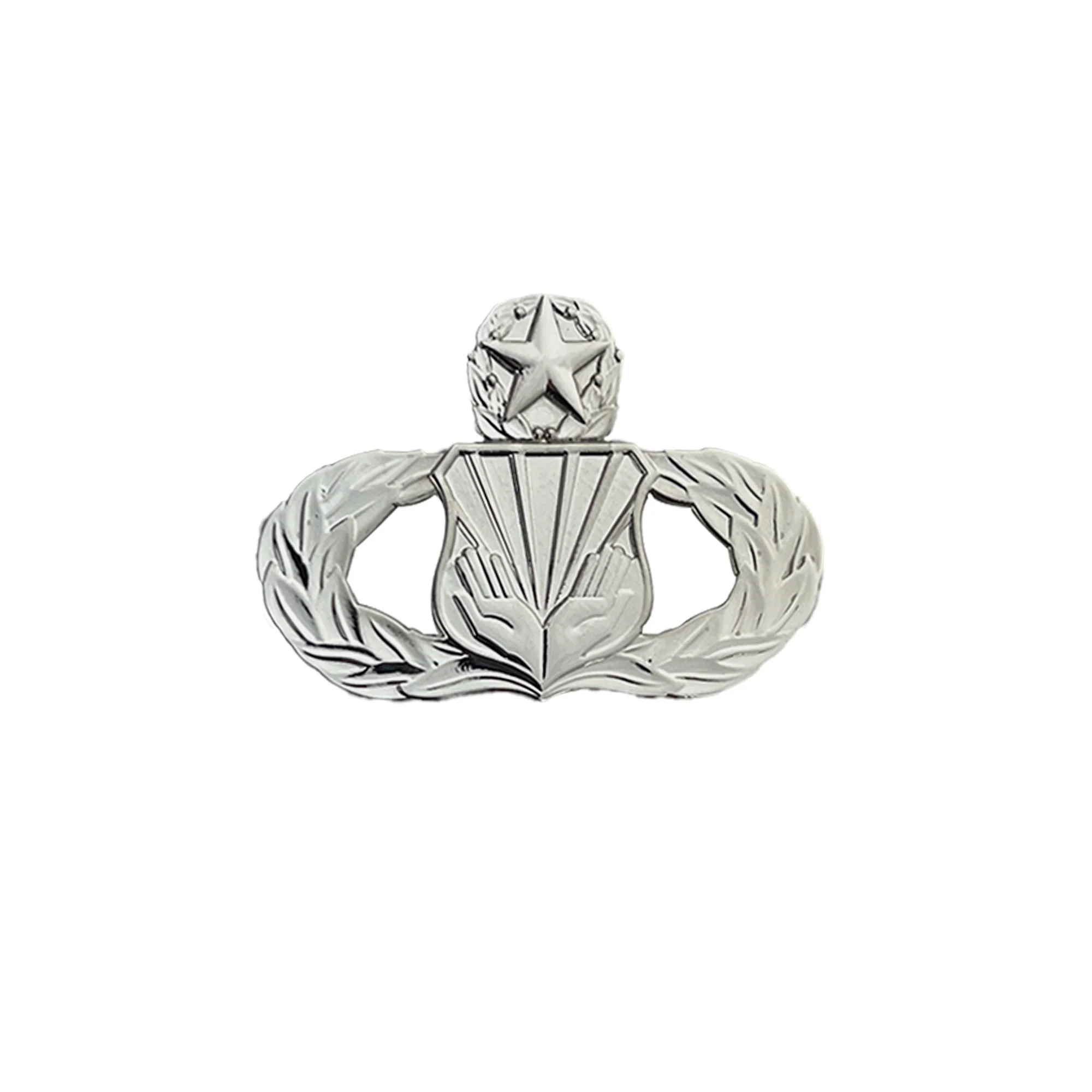 Air Force Badge: Chaplain Assistant: Master - midsize