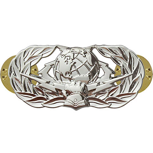 Air Force Badge: Cyberspace Support: Basic - regulation size