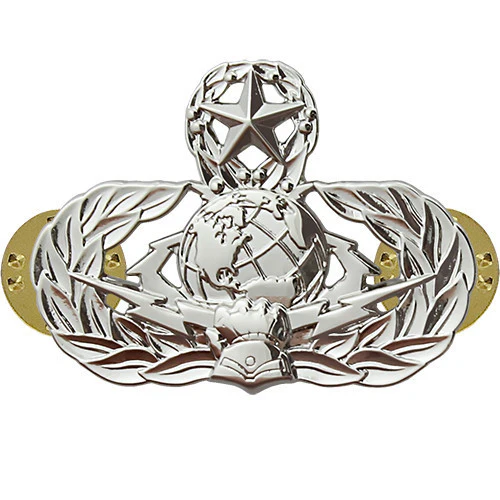 Air Force Badge: Cyberspace Support: Master - regulation size
