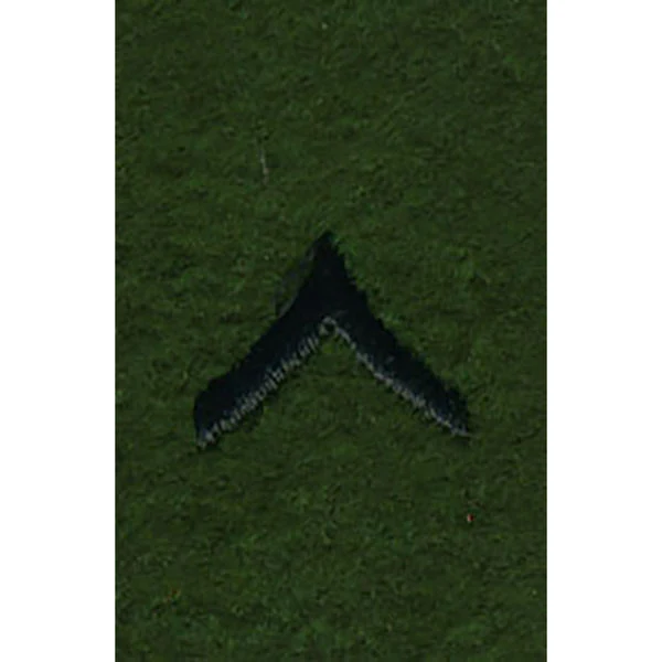 Army Leadership Rank Tab: Private