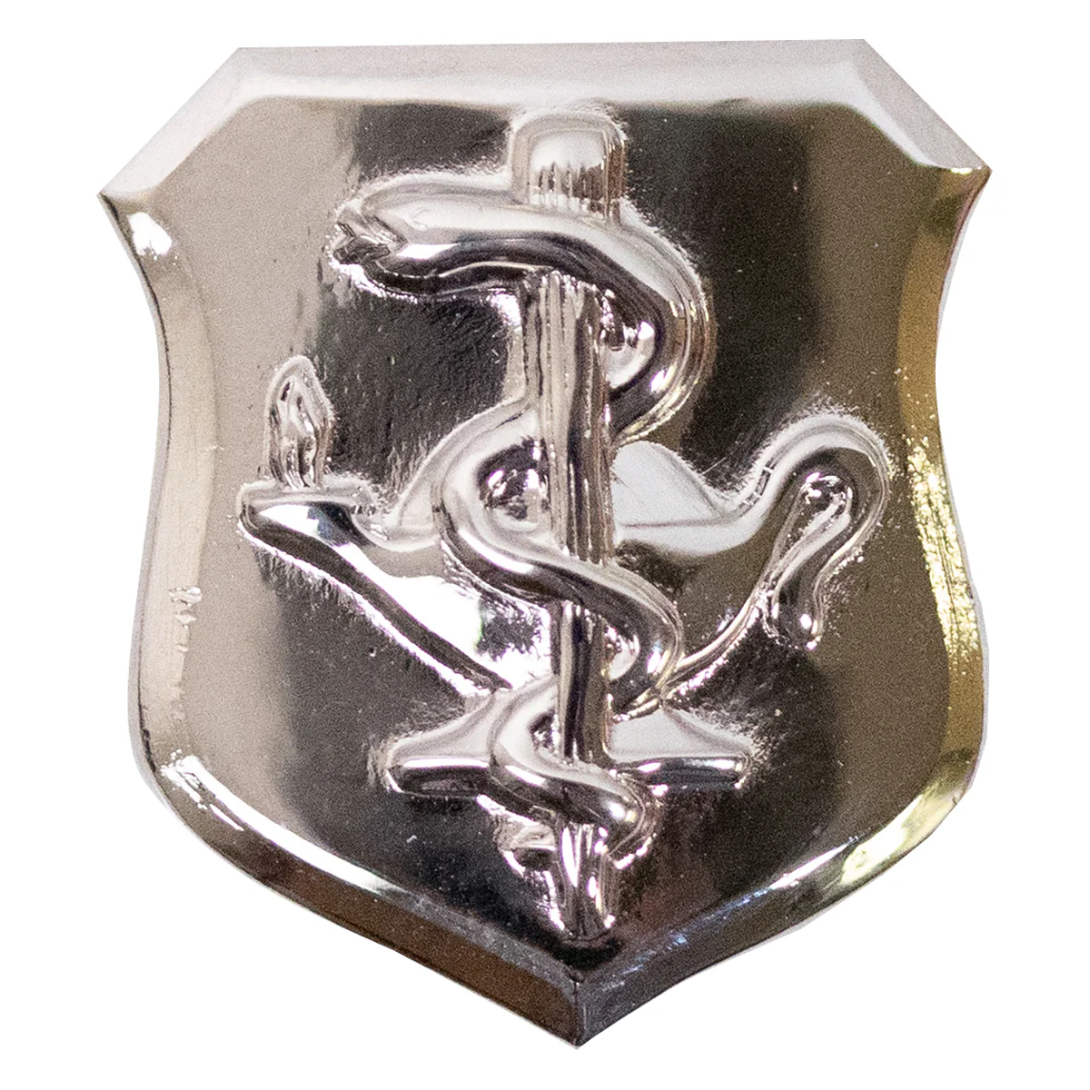 Air Force Badge: Nurse