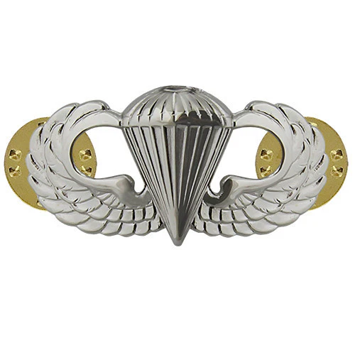 Air Force Badge: Parachutist - midsize
