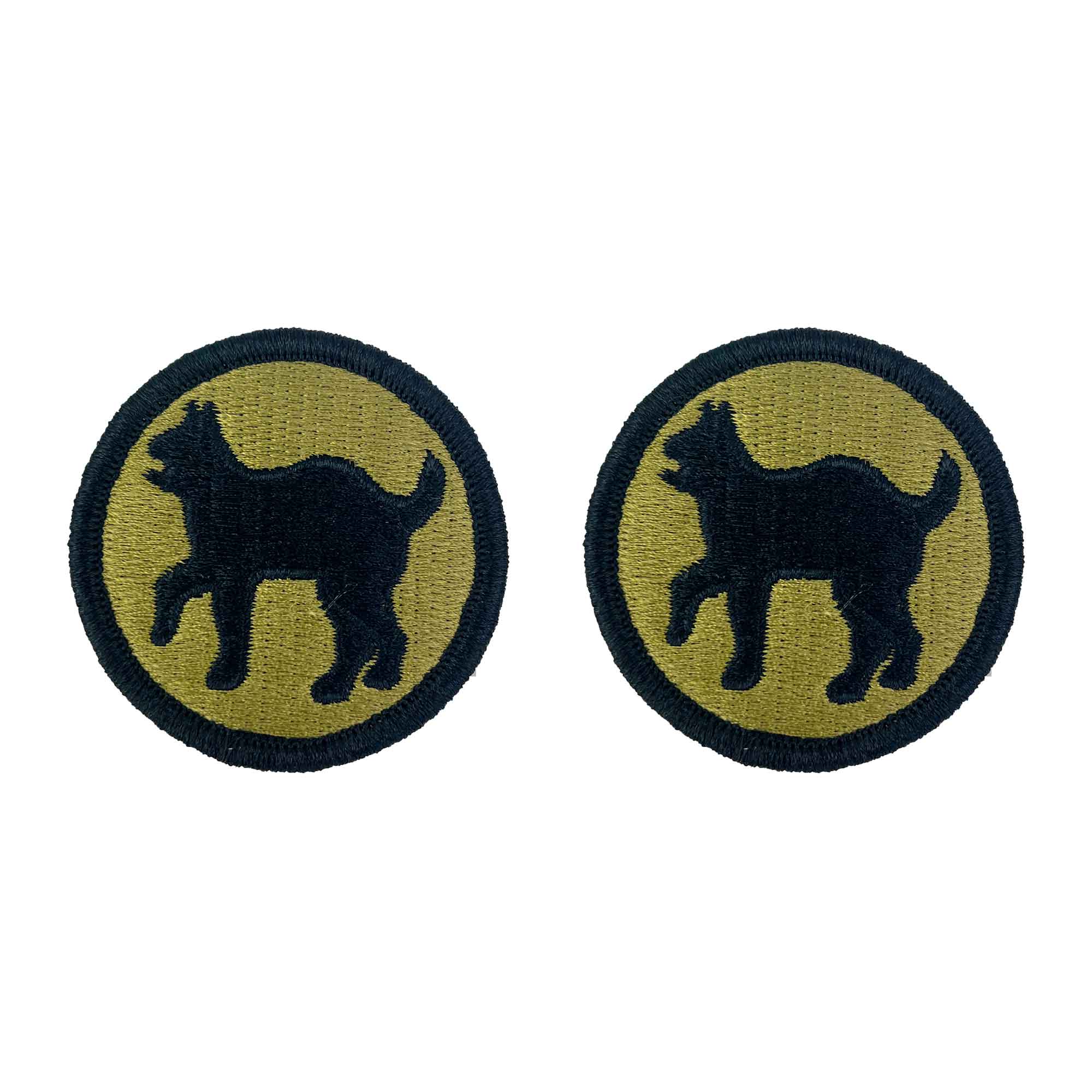 Army Patch: 81st Regional Support Command - embroidered on OCP