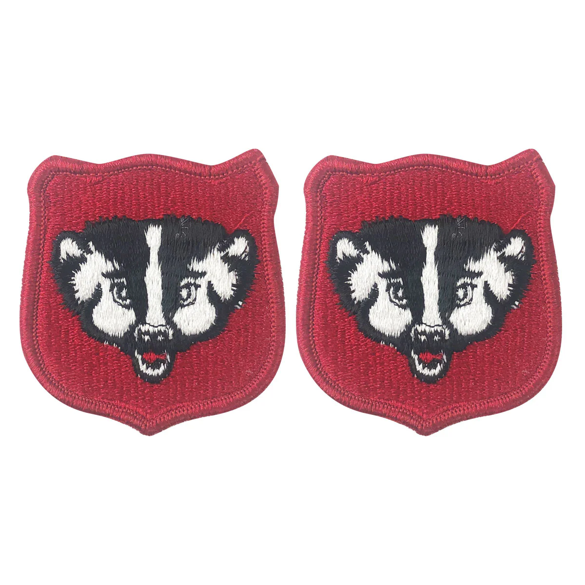 Army Patch: Wisconsin National Guard - color
