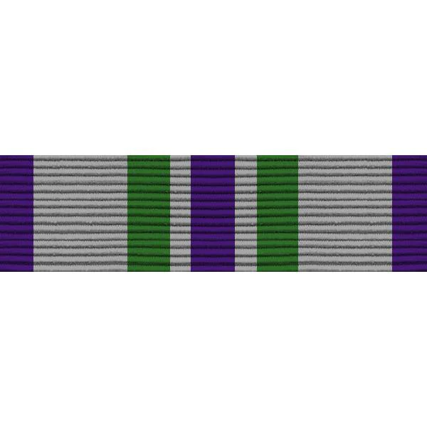 Army ROTC Ribbon Unit: N-1-1: AJROTC Distinguished Cadet