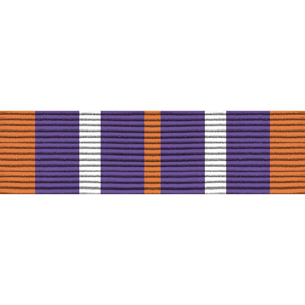 Army ROTC Ribbon Unit: N-4-6: AJROTC Service Learning