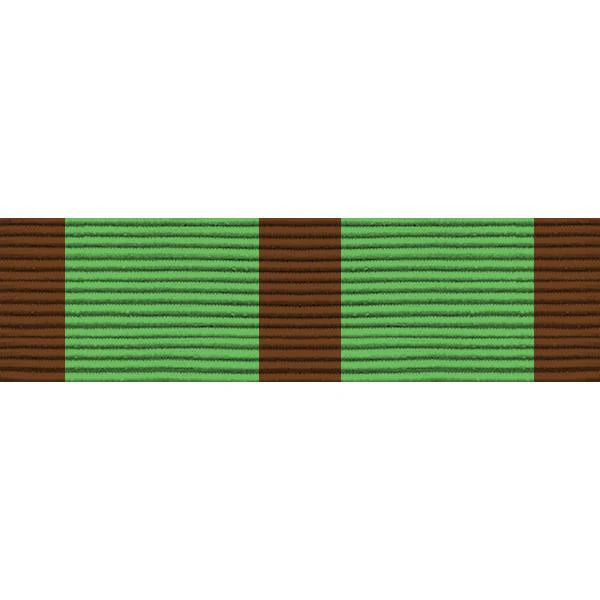 Army ROTC Ribbon Unit: R-3-9: Color Guard