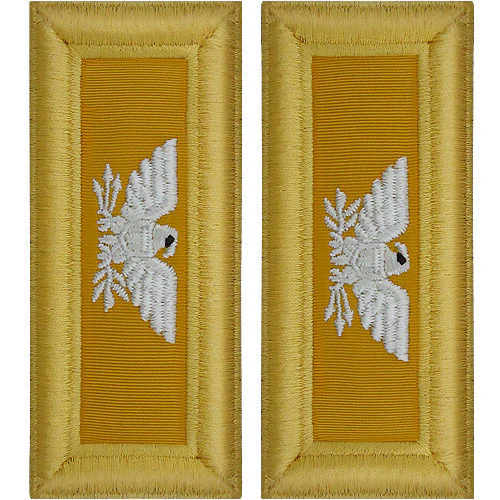 Army Shoulder Strap: Colonel Armor - female