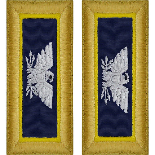 Army Shoulder Strap: Colonel Chemical