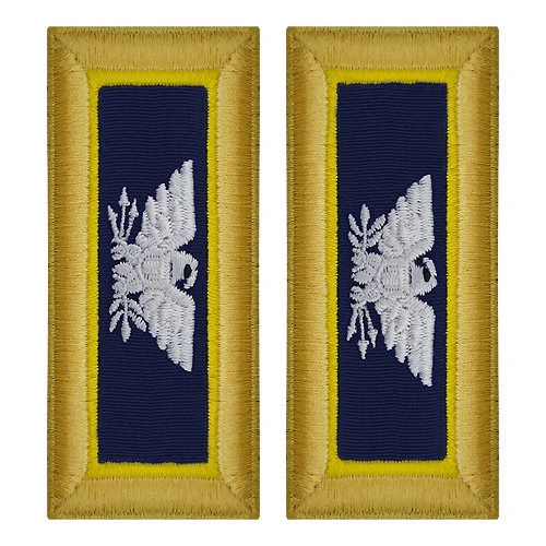 Army Shoulder Strap: Colonel Chemical - female
