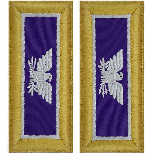 Army Shoulder Strap: Colonel Civil Affairs