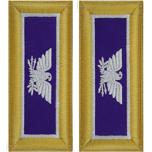 Army Shoulder Strap: Colonel Civil Affairs - female