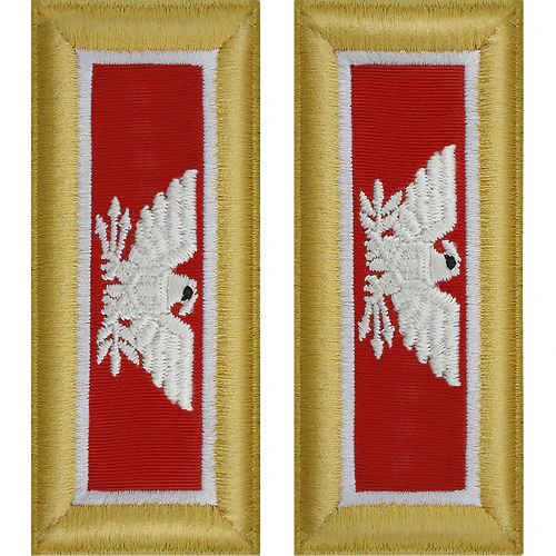 Army Shoulder Strap: Colonel Engineer