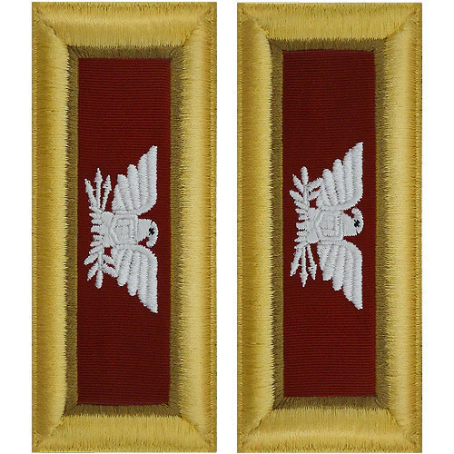 Army Shoulder Strap: Colonel Logistics