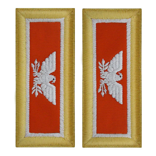 Army Shoulder Strap: Colonel Signal - female