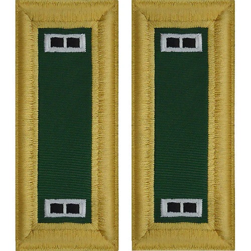 Army Shoulder Strap: Warrant Officer 2: Special Forces