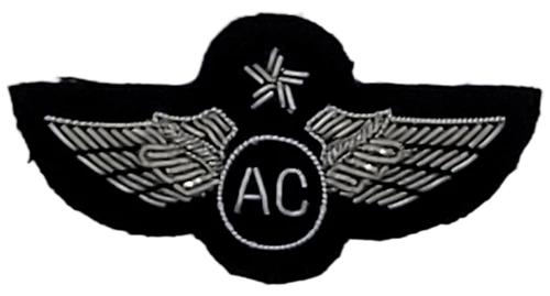 Civil Air Patrol Mess Dress: Master Aircrew Wings - bullion embroidered
