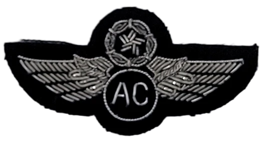 Civil Air Patrol Mess Dress: Senior Aircrew Wings - bullion embroidered