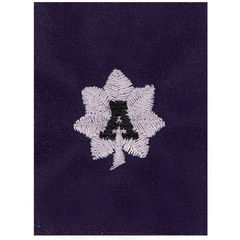 Coast Guard Auxiliary Jacket Tab: DCDR