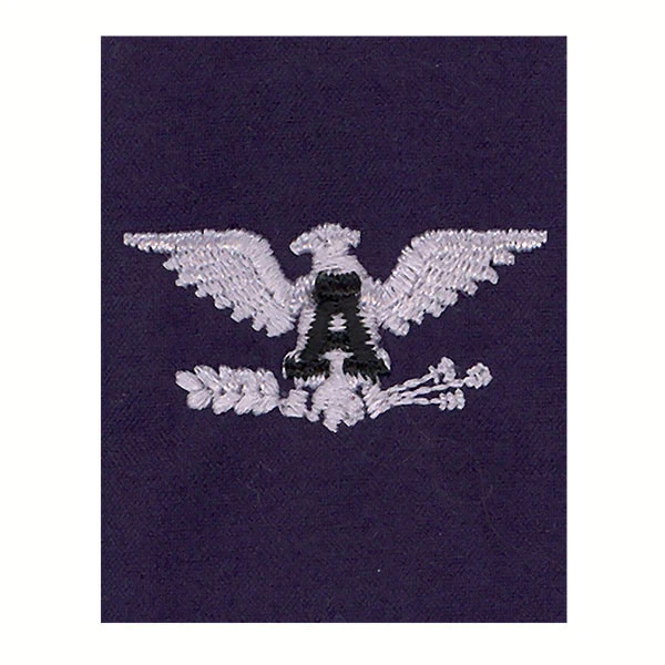 Coast Guard Auxiliary Jacket Tab: VCO/RCO